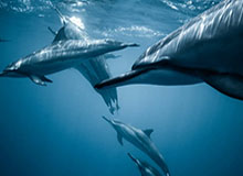 赛前最新：英冠加时鏖战+大乐透：同一个伤停，两边都在提示