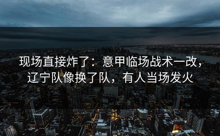现场直接炸了：意甲临场战术一改，辽宁队像换了队，有人当场发火